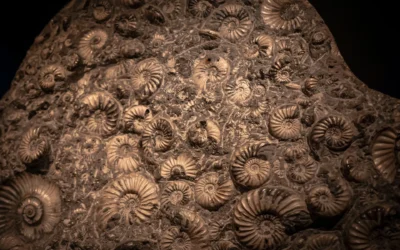 Unveiling the Deep Past: An Introduction to the IPE