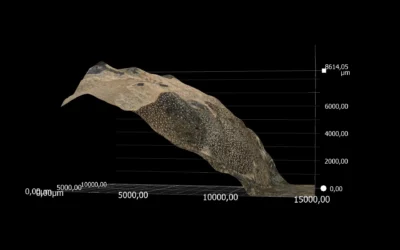 How a Cretaceous crab changed as it grew